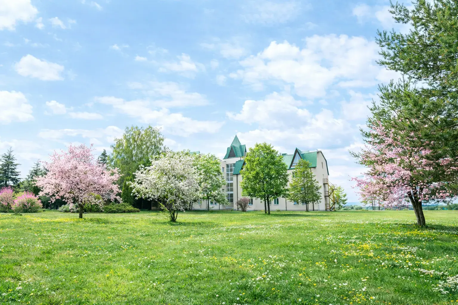 Источник изображения: https://emmausvolgaclub.ru