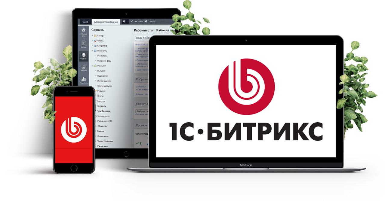 1С-Битрикс помогает создавать и развивать сайты, интернет-магазины и корпоративные веб-проекты (источник: realink.pro)
