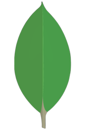 MongoDB