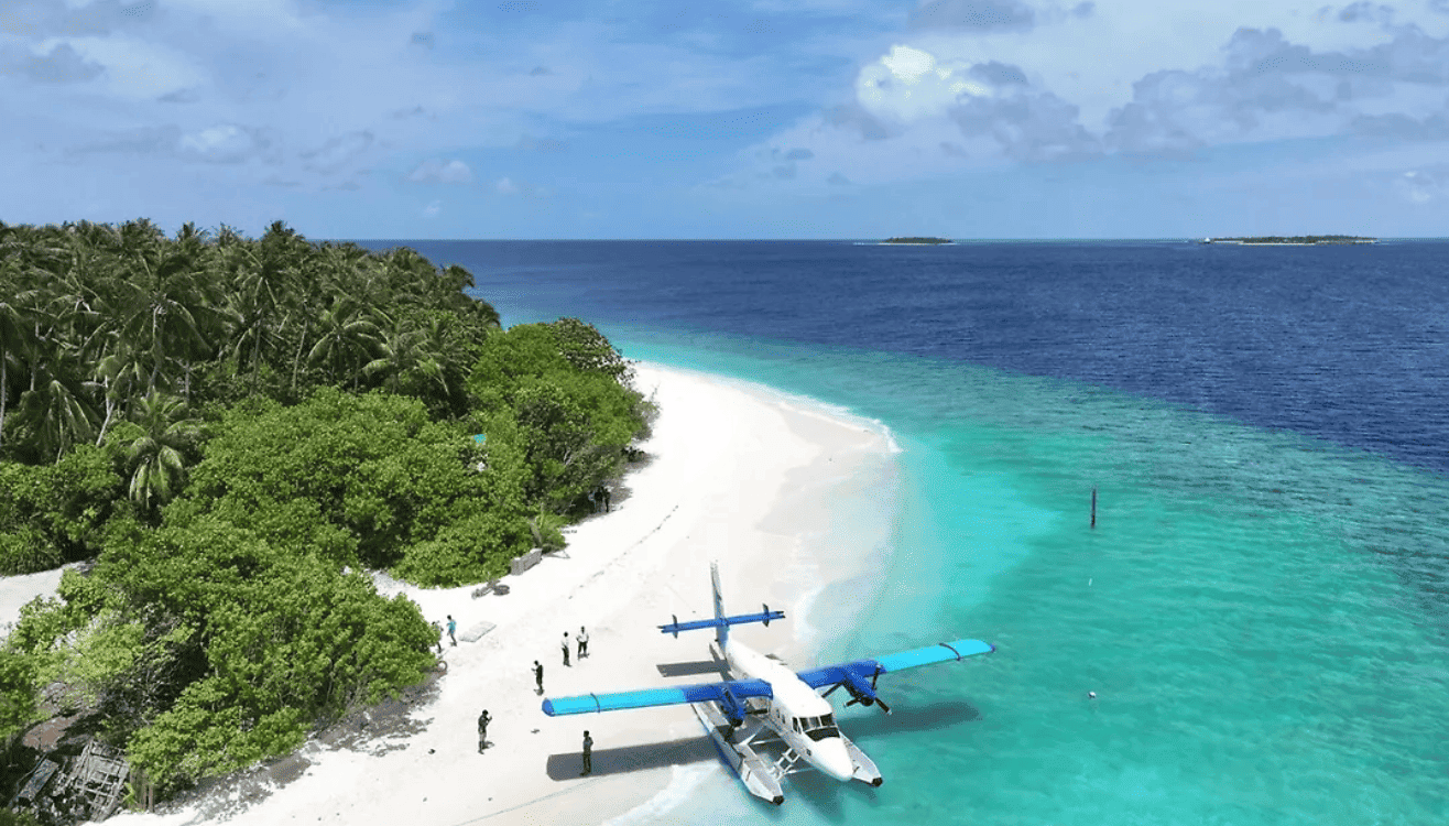 Источник изображения: https://wings-by-hawks-hotels.tophotelsmaldives.com/en/